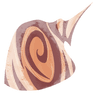 Decorative seashell illustration