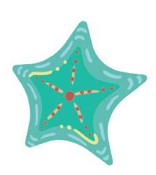 Decorative starfish illustration