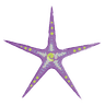 Decorative starfish illustration