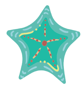 Decorative starfish illustration