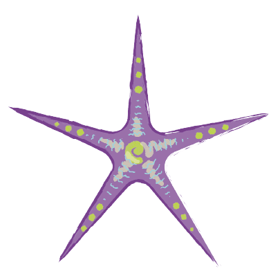 Decorative starfish illustration